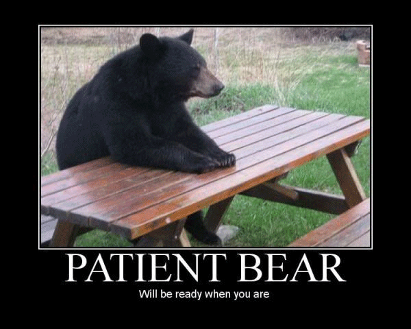 patient-bear.gif