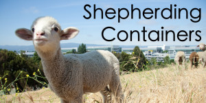 Shepherding Containers